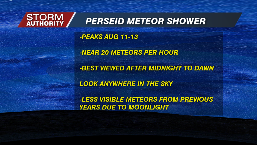 Perseid Meteor Shower